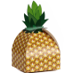 Pineapple Box | Fruit Gift Packaging Idea